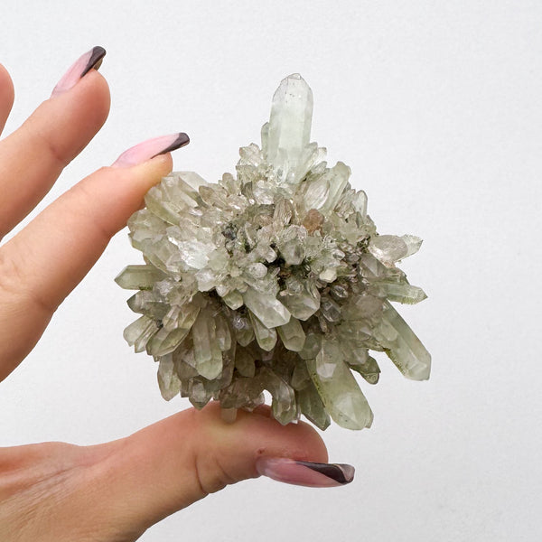 RARE Druzy Epidote on Quartz