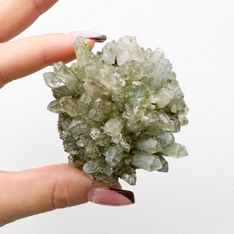 RARE Druzy Epidote on Quartz