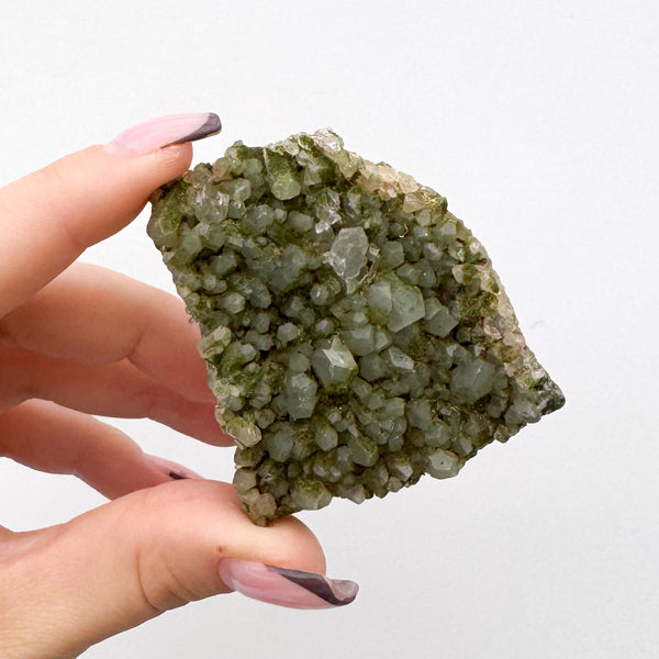 RARE Druzy Epidote on Quartz