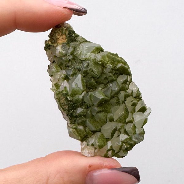 RARE Druzy Epidote on Quartz