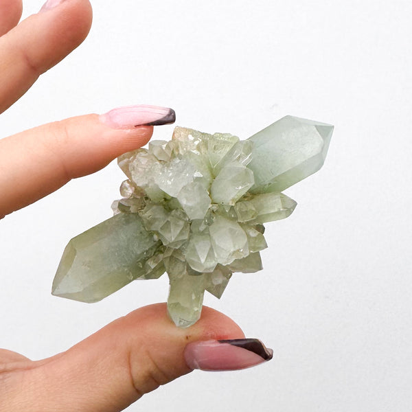 RARE Druzy Epidote on Quartz