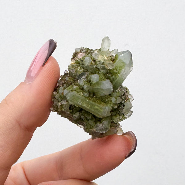 RARE Druzy Epidote on Quartz