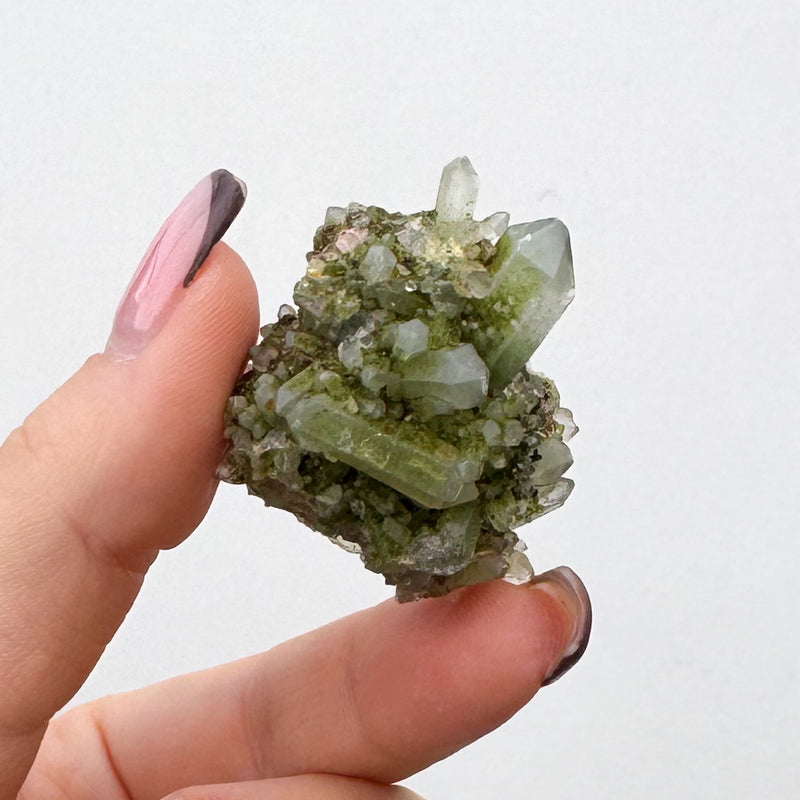RARE Druzy Epidote on Quartz