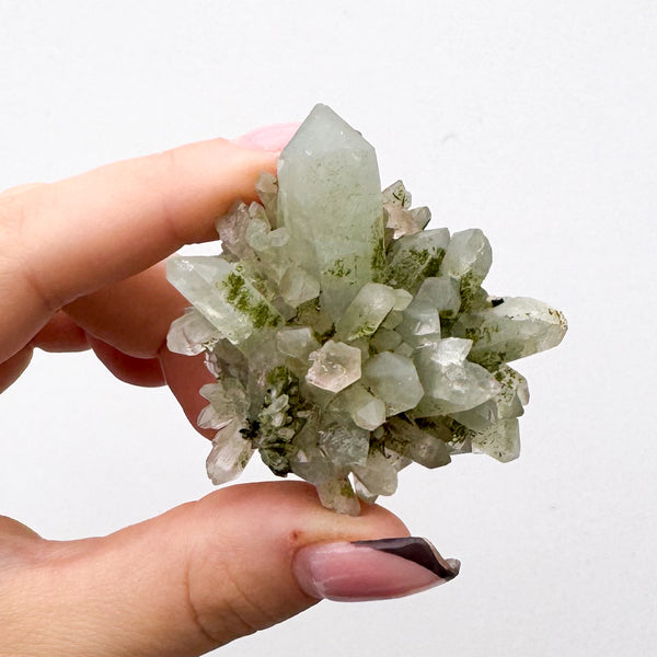 RARE Druzy Epidote on Quartz