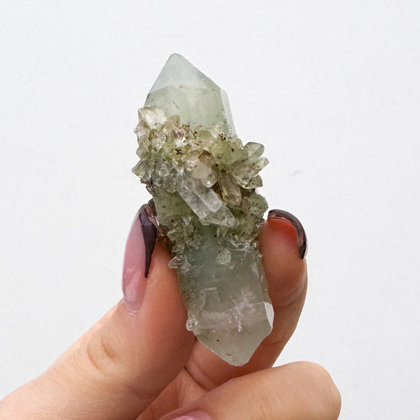 RARE Druzy Epidote on Quartz