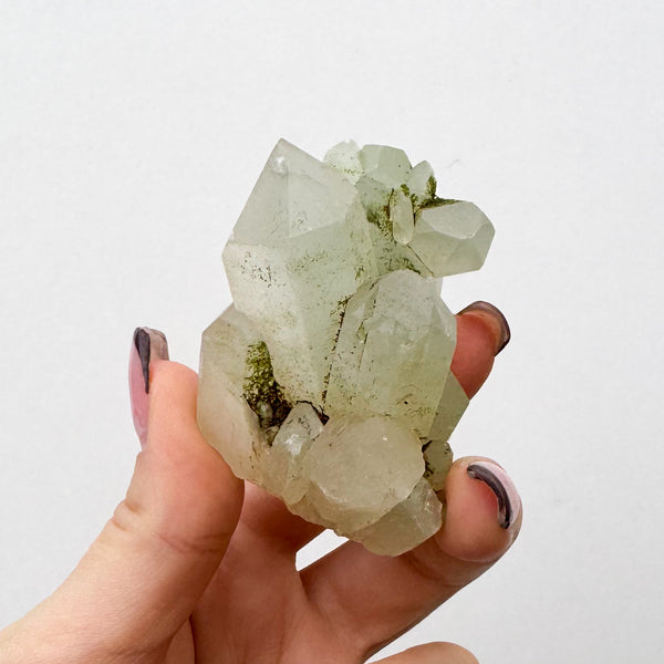 RARE Druzy Epidote on Quartz
