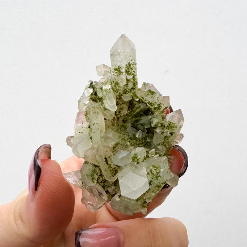 RARE Druzy Epidote on Quartz