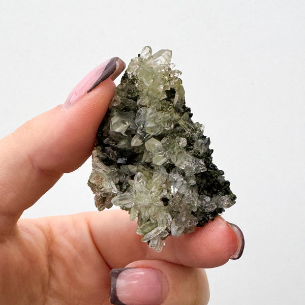 RARE Druzy Epidote on Quartz
