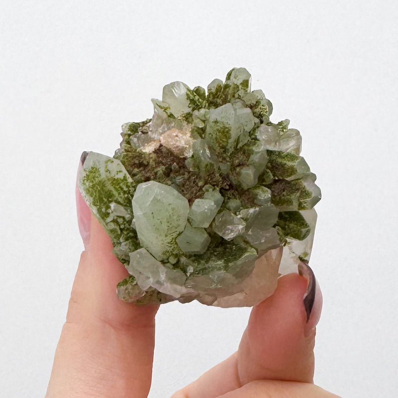 RARE Druzy Epidote on Quartz