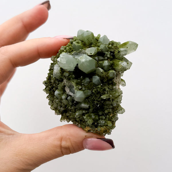 RARE Druzy Epidote on Quartz