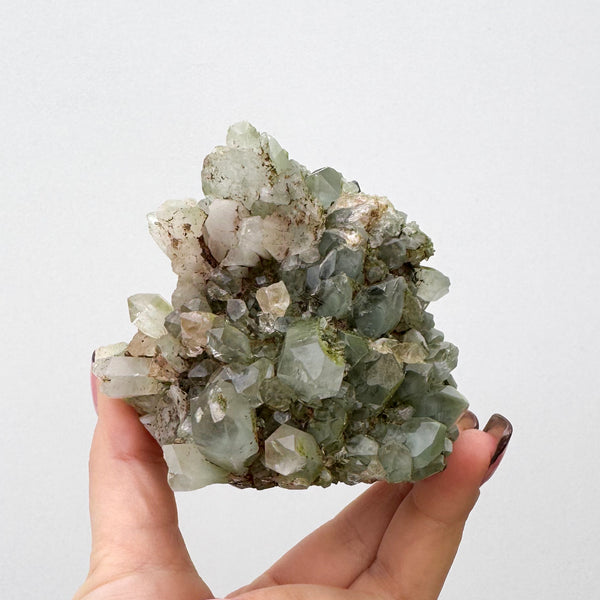 RARE Druzy Epidote on Quartz