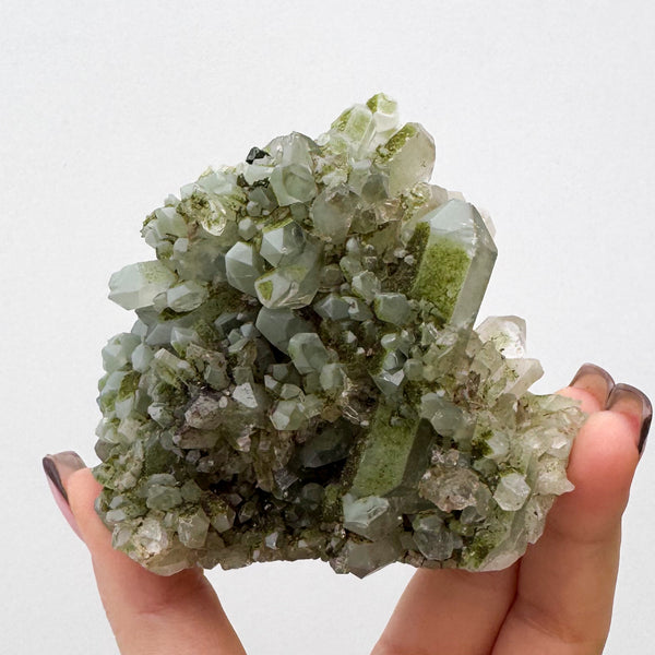 RARE Druzy Epidote on Quartz