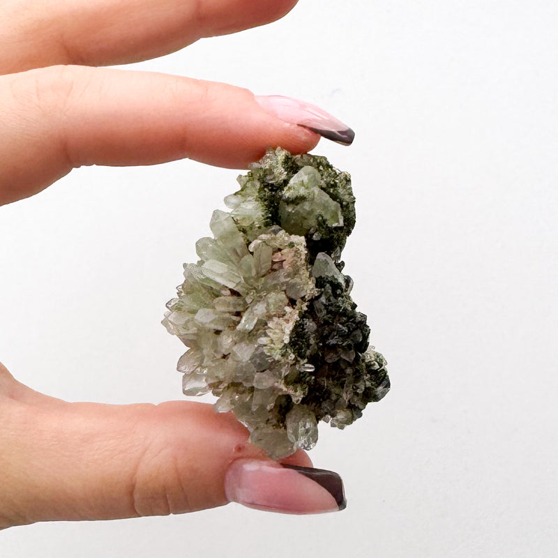 RARE Druzy Epidote on Quartz