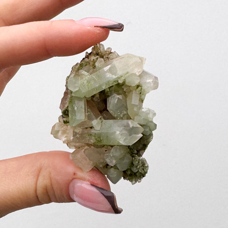 RARE Druzy Epidote on Quartz