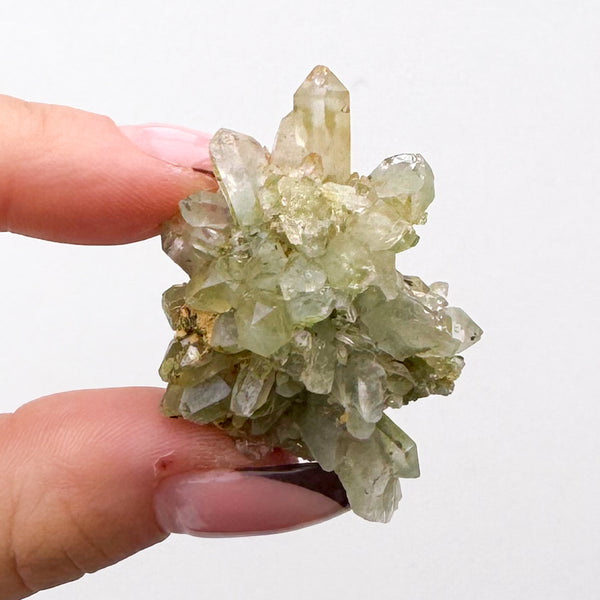 RARE Druzy Epidote on Quartz