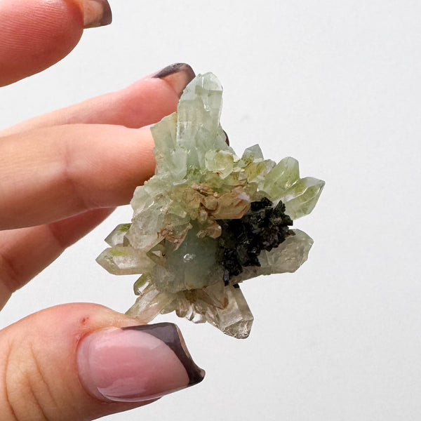 RARE Druzy Epidote on Quartz