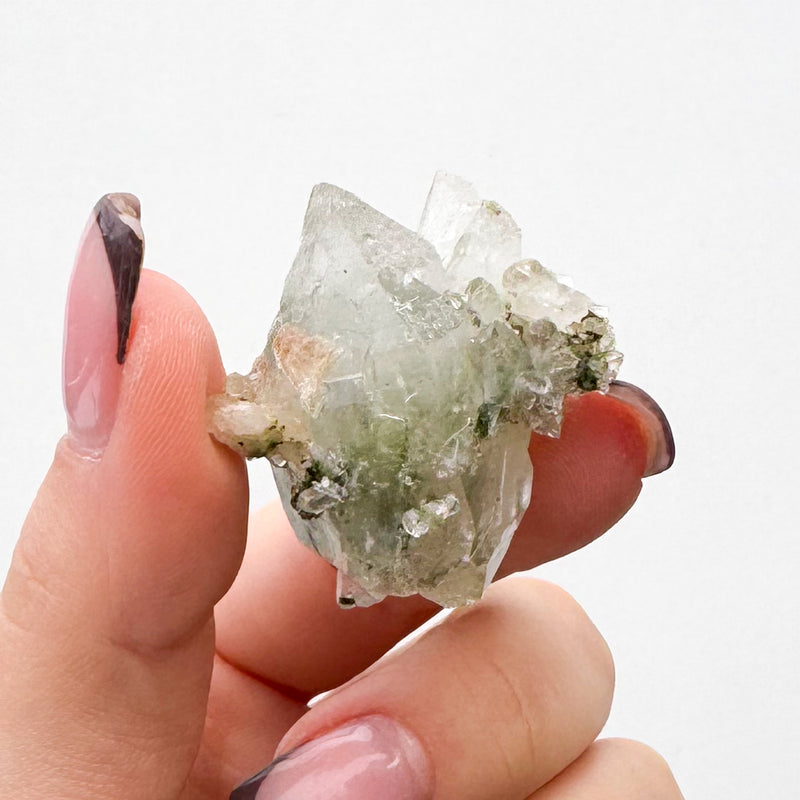 RARE Druzy Epidote on Quartz