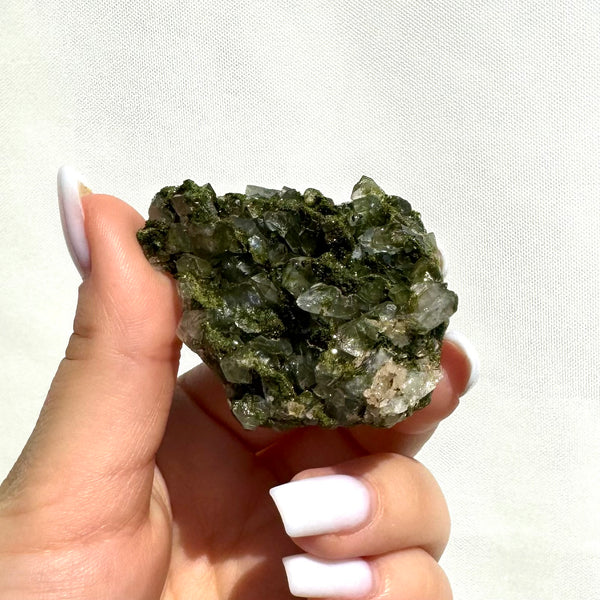 Forest Epidote with Quartz