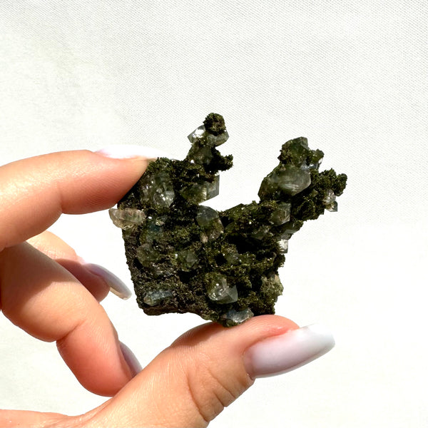 Forest Epidote with Quartz