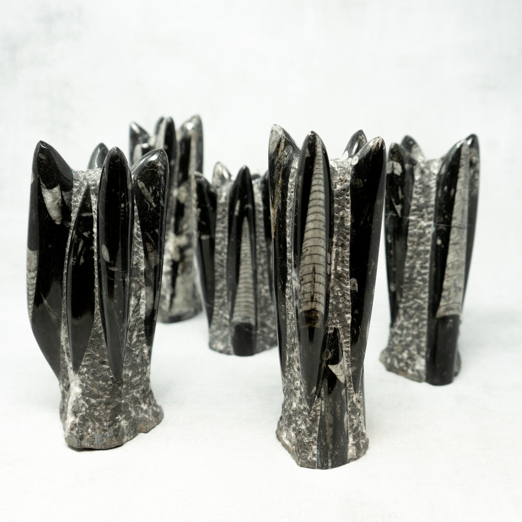 OrthocerasSculptureTower-